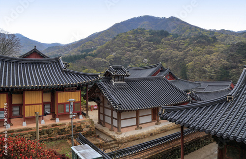 Suncheon-si, Jeollanam-do, South Korea - April 12, 2020: High angle and spring view of tile roof of Buddhist sanctuary against Jogyesan Mt. at Songgwangsa Temple 