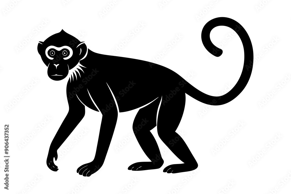 Monkey silhouette, Monkey icon vector illustration
Monkey silhouette, Monkey icon vector illustration