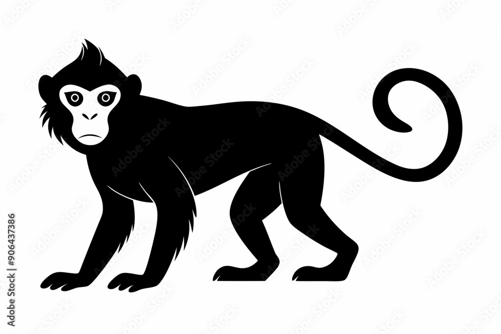 Obraz premium Monkey silhouette, Monkey icon vector illustration 