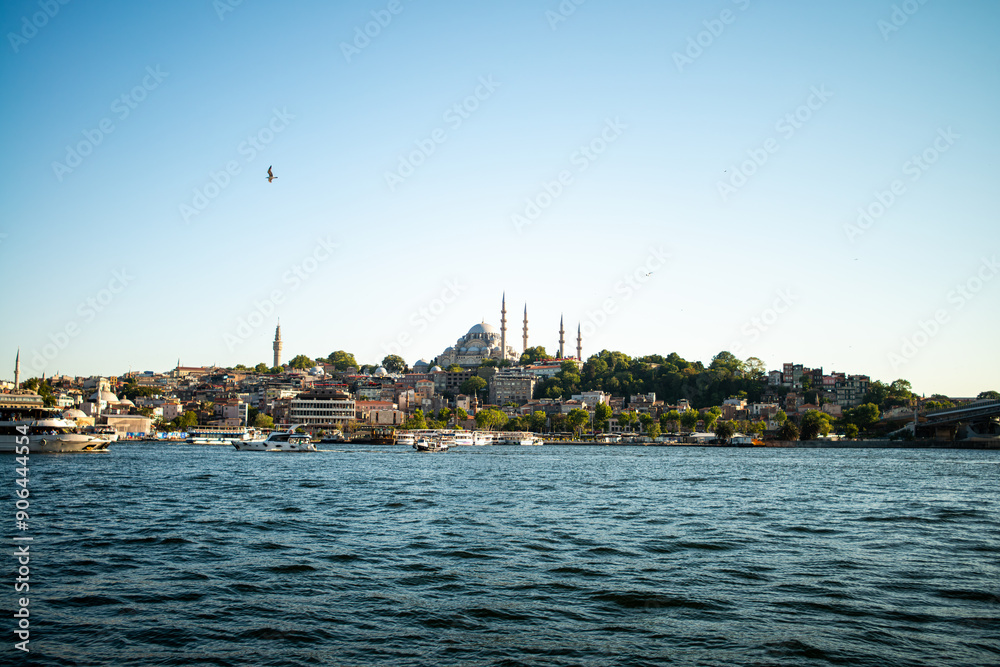 Fototapeta premium Istanbul's Timeless Beauty: Haliç View with Süleymaniye Mosque