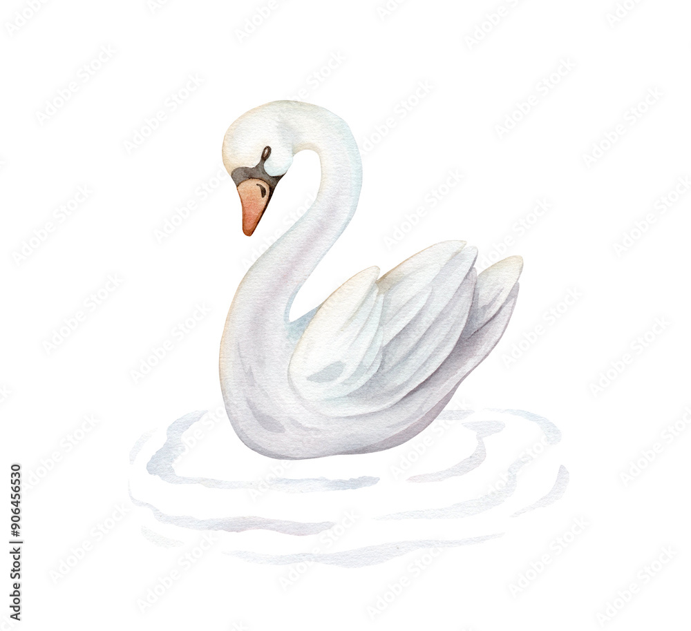 Fototapeta premium Watercolor hand painted illustration cute swans and water waves. Isolated on white background. White pastel colors bird. Wedding symbol of fidelity in the family