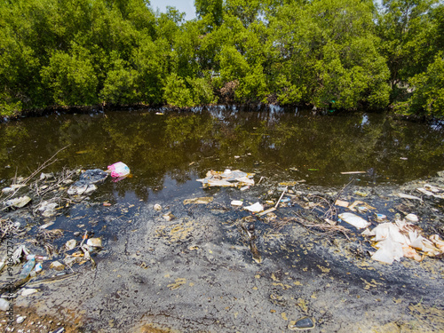 Polluted water with floating trash and debris near a lush mangrove forest, illustrating environmental damage.