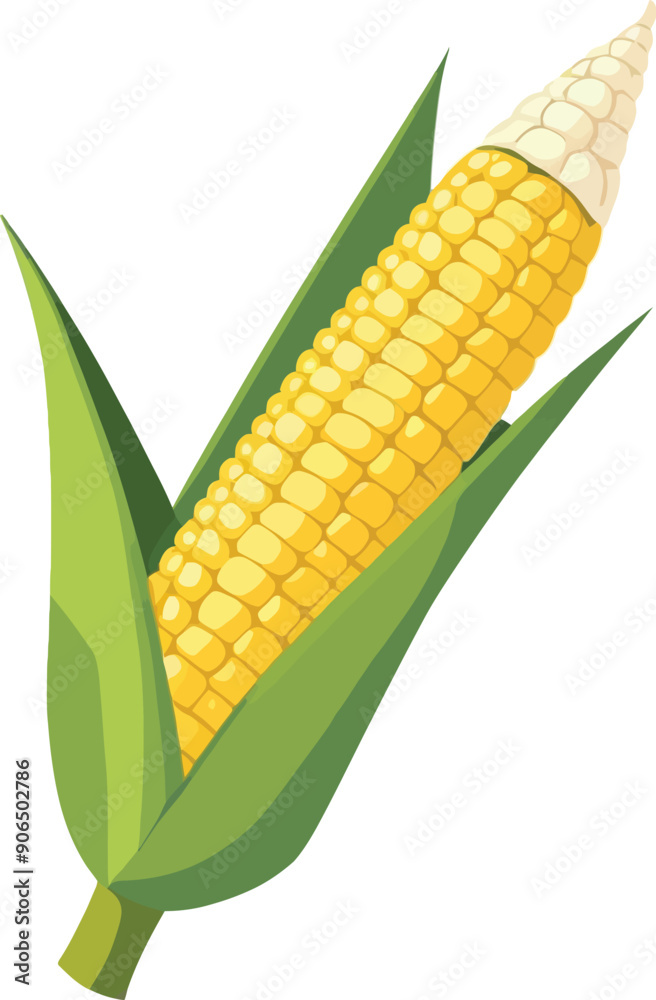 Obraz premium Corn with green leaves illustration on a white background