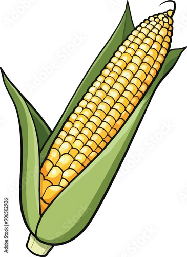 Corn with green leaves illustration on a white background