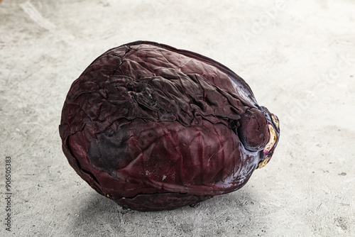 Natural organic violet cabbage head photo