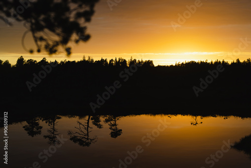 Sunset at Seli Bog, dotted with pine trees, hollows and pools, located in Jarva county, Estonia. Unique wetland ecosystem supports diverse wildlife and is a home to unique plants and animals photo