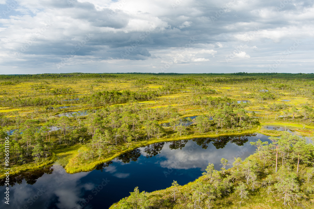 Aerial view of Seli Bog, dotted with pine trees, hollows and pools, located in Jarva county, Estonia. Unique wetland ecosystem supports diverse wildlife and is a home to unique plants and animals Aerial view of Seli Bog, dotted with pine trees, hollows and pools, located in Jarva county, Estonia. Unique wetland ecosystem supports diverse wildlife and is a home to unique plants and animals