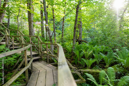 Wooden staircase leading to pebble beach near Valaste waterfall on the shore of Gulf of Finland, northern Estonia photo