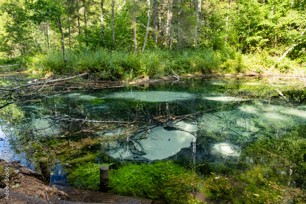 Saula Blue Springs or Saula Siniallikad. Natural and cultural heritage site. Believed to be sacrificial spring of blue colour with healing power. Saula village, Harju county, Estonia. Saula Blue Springs or Saula Siniallikad. Natural and cultural heritage site. Believed to be sacrificial spring of blue colour with healing power. Saula village, Harju county, Estonia.