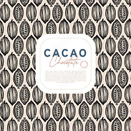Cocoa bean botanical textured illustration. Vintage style chocolate design template. Chocolate cacao bean. Vector illustration