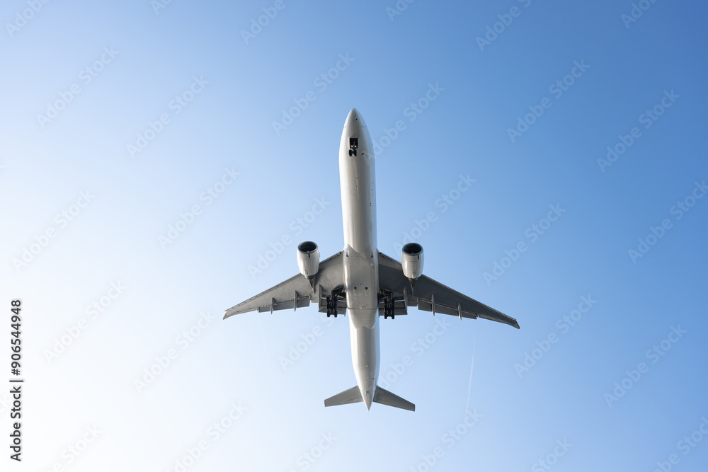 Obraz premium 空を飛ぶ飛行機