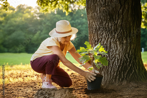 Frau pflanzt Baum im Park photo