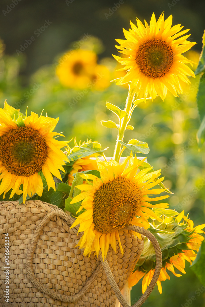Fototapeta premium Straw bag and sunflowers. summer atmosphere.