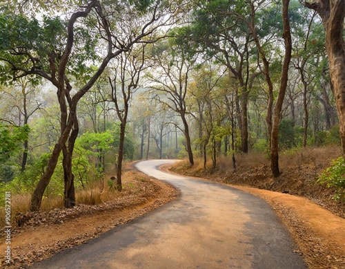 Unexplored path / Road less taken at Nagarhole national park, Karnataka, India. Bandipur forest. Curvy road ahead. Jungle safari searing wild animals. Tall trees, glomy weather, mysterious nature photo