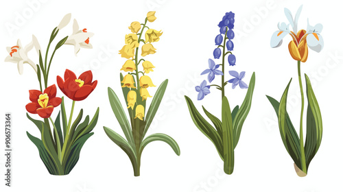 Four of Spring Flowers Muscari Tulip Crocus and Lily
