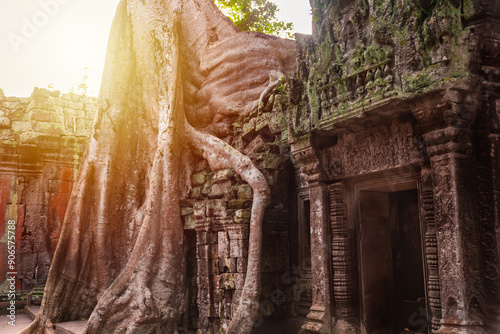 Angkor Thom, ancient temple ruins in Cambodia jungle with tree roots