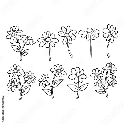 Black line doodle daisy flowers and leaves on white background. Vector illustration about nature.