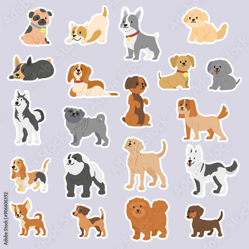 Cute little pet dog breed poses
