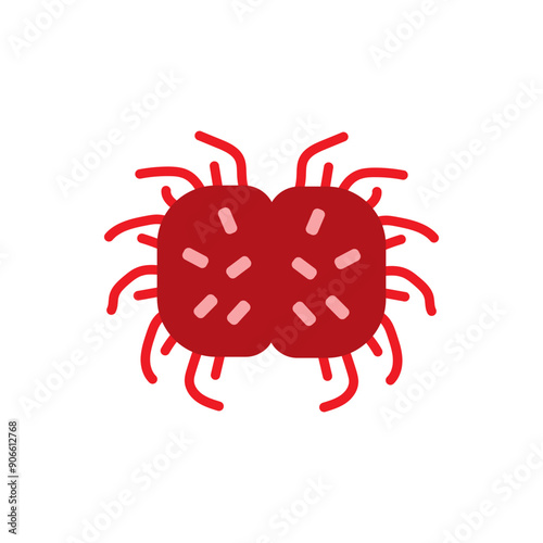 neisseria gonorrhoeae