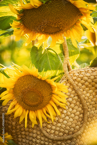 Straw bag and sunflowStraw bag and sunflowers. summer atmosphere.ers. summer atmosphere. photo