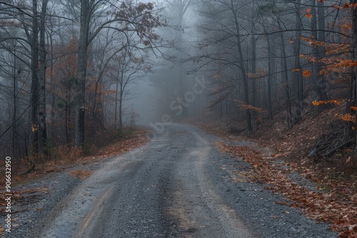 A road with a lot of leaves on the ground. The leaves are brown and scattered all over the road