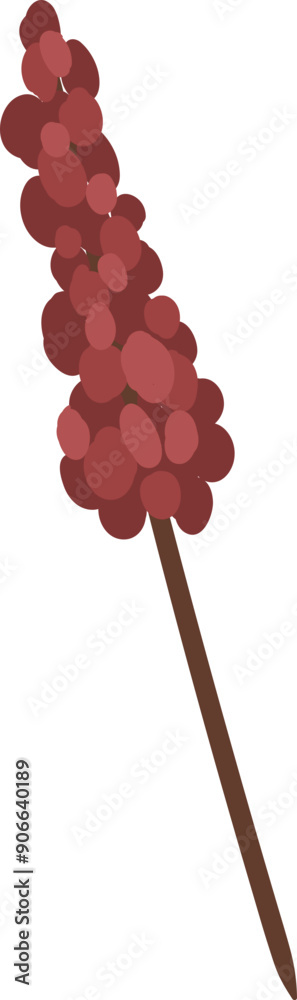flat abstract elongated simple red flower flat abstract elongated simple red flower