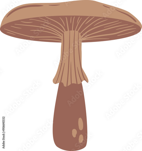 flat abstract realistic brown edible spring mushroom