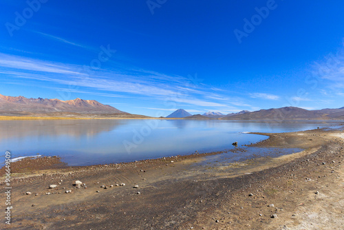 La Reserva Nacional de Salinas y Aguada Blanca. Ubicada en los departamentos peruanos de Arequipa y Moquegua, Peru.
