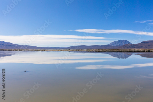 La Reserva Nacional de Salinas y Aguada Blanca. Ubicada en los departamentos peruanos de Arequipa y Moquegua, Peru.