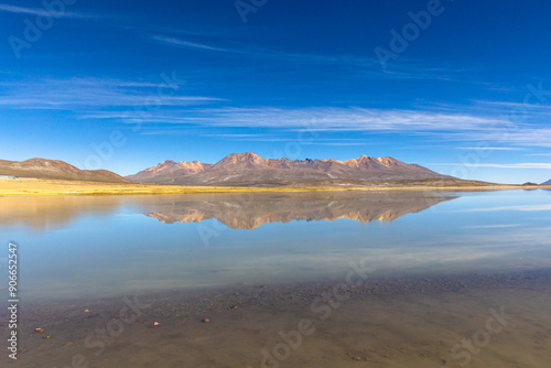 La Reserva Nacional de Salinas y Aguada Blanca. Ubicada en los departamentos peruanos de Arequipa y Moquegua, Peru.