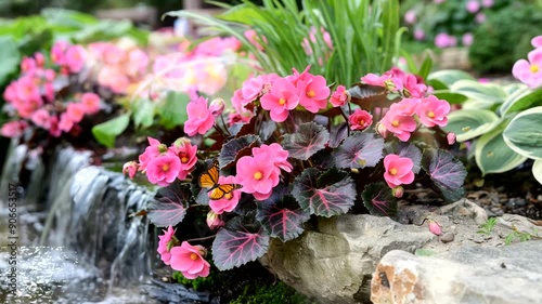 Vibrant pink flowers and a butterfly on a rocky waterfall.