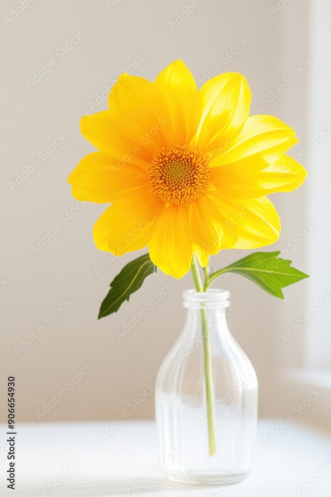 Vibrant yellow flower in glass vase illuminated by soft morning light Vibrant yellow flower in glass vase illuminated by soft morning light