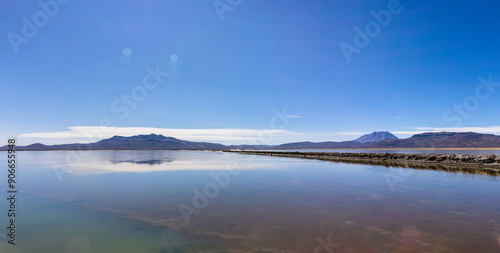 La Reserva Nacional de Salinas y Aguada Blanca. Ubicada en los departamentos peruanos de Arequipa y Moquegua, Peru.