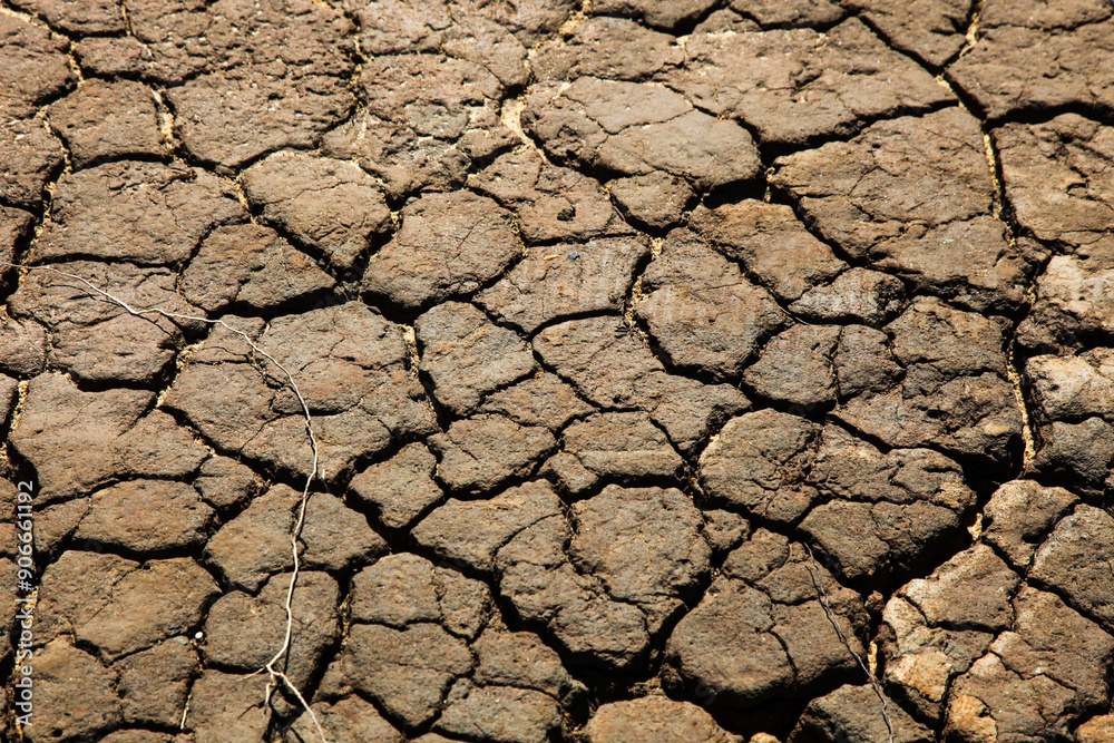 A desolate riverbed, completely dry and cracked under the scorching sun, showcases the harshness of drought and climate change. A stark, arid landscape void of water and life.