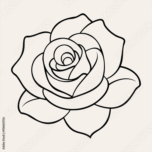 Fototapeta Naklejka Na Ścianę i Meble -  Rose Flower Line Art Illustration