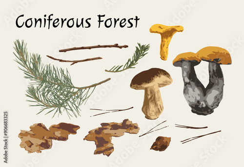Clip art, design elements, set of nature objects of coniferous forest. Image tracing, cleaned and simplified illustrations. Realistic style. Not AI.