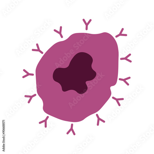 t cell 
