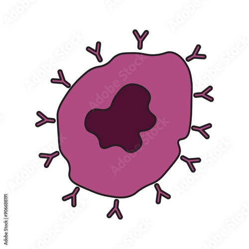 t cell 