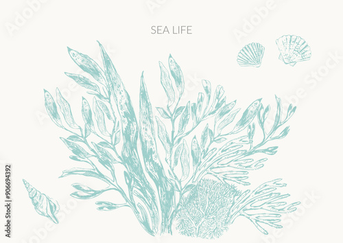 Sea life background in light green color with seaweed plants, laminaria, fucus, corals