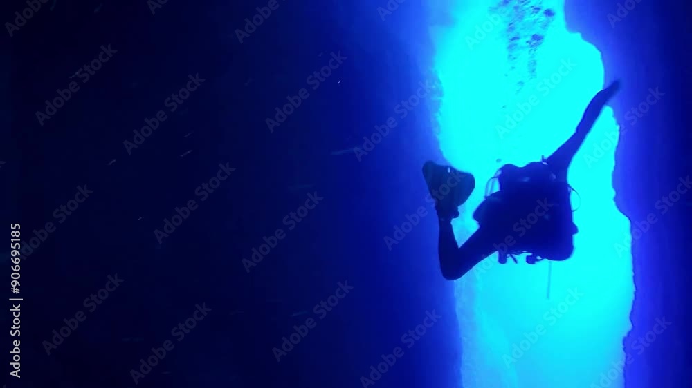 Beautiful underwater flora and fauna Beautiful underwater flora and fauna