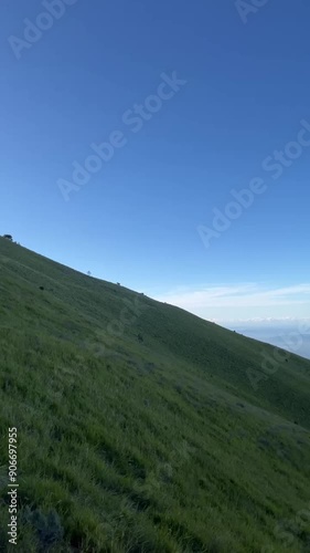 landscape in the savanna merbabu mountain photo