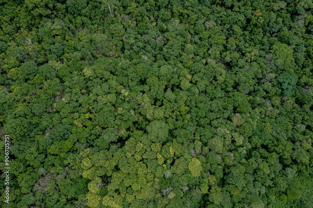 Beautiful aerial top view of green forest in rural Thailand. Beautiful aerial top view of green forest in rural Thailand.