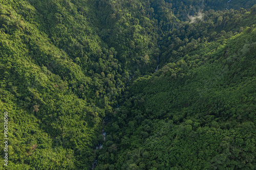 Aerial view of green mangroves or tropical forest in Thailand.