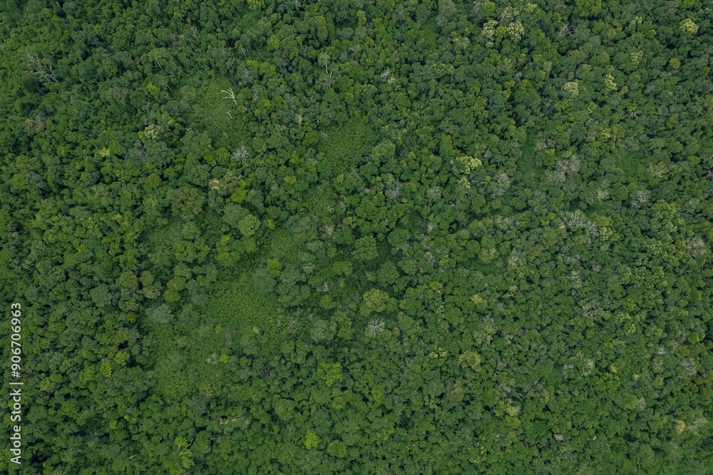 Beautiful aerial top view of green forest in rural Thailand. Beautiful aerial top view of green forest in rural Thailand.