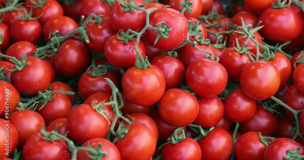 Red ripe juicy tomatoes on market. Agriculture and vegetarian food concept. Red ripe juicy tomatoes on market. Agriculture and vegetarian food concept.