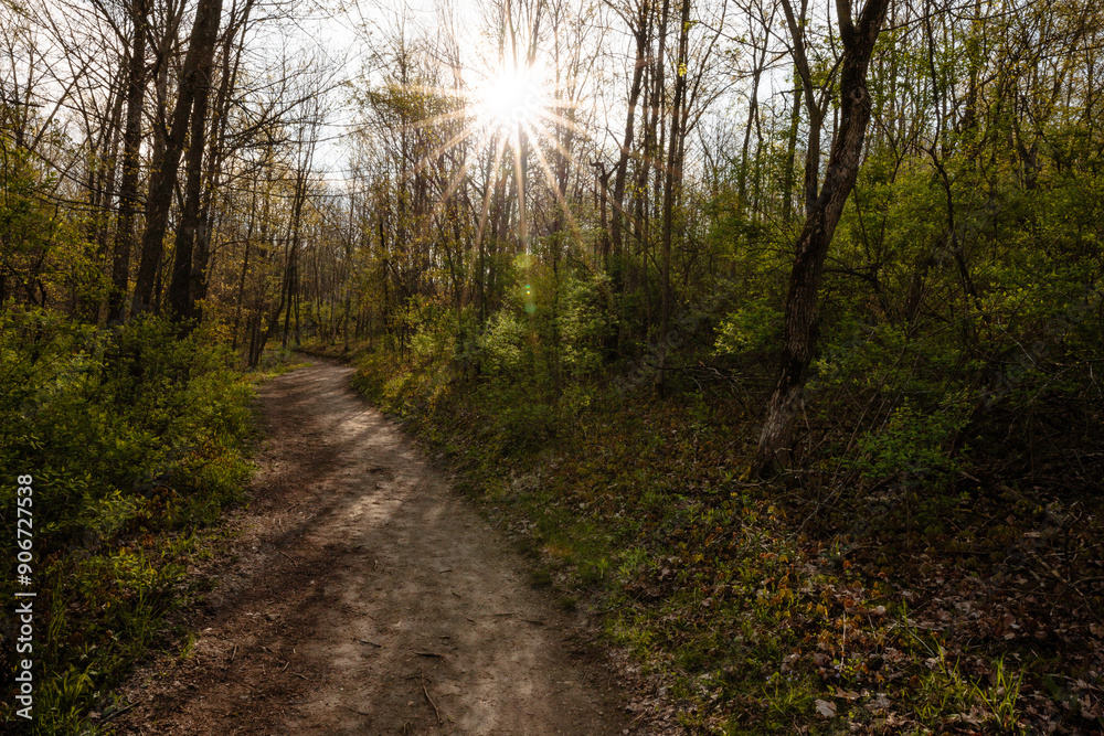 The morning sunstar illuminates the hiking trail within the Pike Lake Unit, Kettle Moraine State Forest, Hartford, Wisconsin in mid-May The morning sunstar illuminates the hiking trail within the Pike Lake Unit, Kettle Moraine State Forest, Hartford, Wisconsin in mid-May