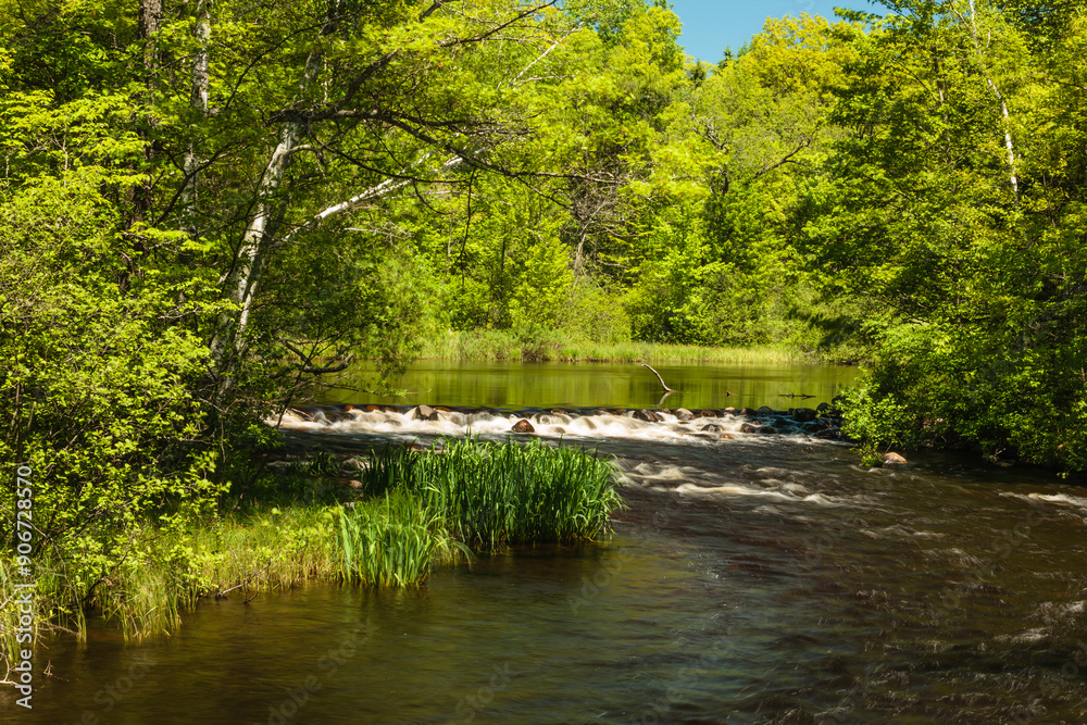 The Manitowish River flows over the small rapids near Boulder Junction, Wisconsin in early June The Manitowish River flows over the small rapids near Boulder Junction, Wisconsin in early June