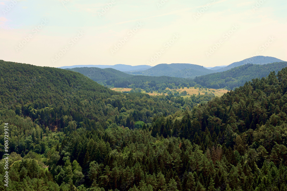 Fototapeta premium Aussicht in den Pfälzerwald von den Altdahner Burgen bei Dahn im deutschen Landkreis Südwestpfalz im Bundesland Rheinland-Pfalz. Aussicht vom Premium-Wanderweg Hahnfels-Tour.