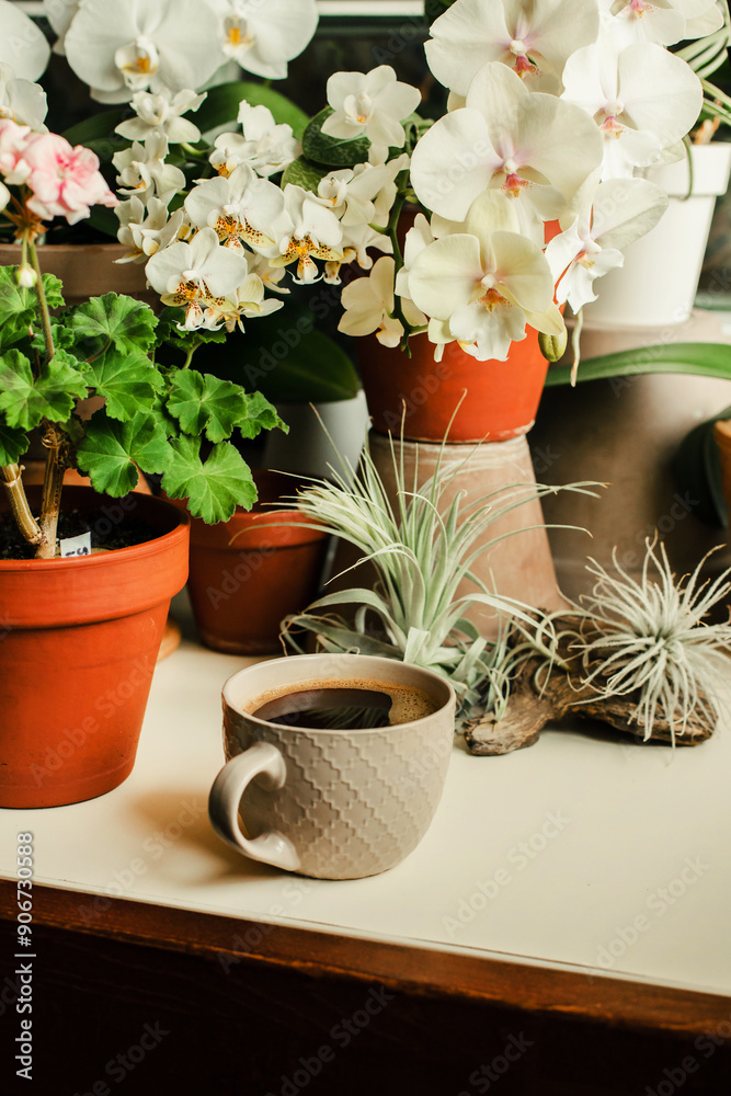 Coffee with plants. A cup with a hot drink on the table among blooming orchids and other flowers Coffee with plants. A cup with a hot drink on the table among blooming orchids and other flowers
