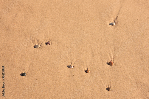 Overhead view of 8 stones, careully arraanged by the incoming waves of Lake Michigan on the beach at Kohler-Andrae State Park, Sheboygan, Wisconsin in late October photo